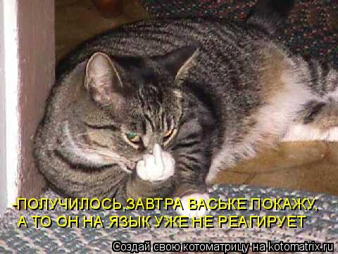 -ПОЛУЧИЛОСЬ,ЗАВТРА ВАСЬКЕ ПОКАЖУ, А ТО ОН НА ЯЗЫК УЖЕ НЕ РЕАГИРУЕТ... Котоматрица: -ПОЛУЧИЛОСЬ,ЗАВТРА ВАСЬКЕ ПОКАЖУ, А ТО ОН НА ЯЗЫК УЖЕ НЕ РЕАГИРУЕТ