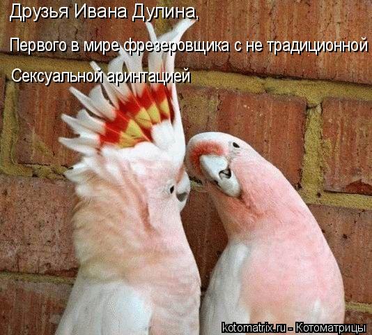 Друзья Ивана Дулина, Первого в мире фрезеровщика с не традиционной Сексуальной аринтацией... Котоматрица: Друзья Ивана Дулина, Первого в мире фрезеровщика с не традиционной Сексуальной аринтацией