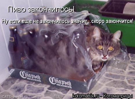 Пиво закончилось! Ну если еще не закончилось значит...скоро закончится!... Котоматрица: Пиво закончилось! Ну если еще не закончилось значит...скоро закончится!