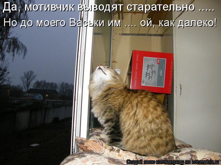 Да, мотивчик выводят старательно ..... Но до моего Васьки им .... ой, как далеко!... Котоматрица: Да, мотивчик выводят старательно ..... Но до моего Васьки им .... ой, как далеко!