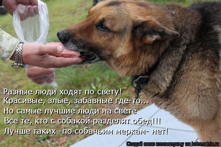 Котоматрица: Разные люди ходят по свету! Красивые, злые, забавные где-то... Но самые лучшие люди на свете Все те, кто с собакой разделят обед!!! Лучше таких -