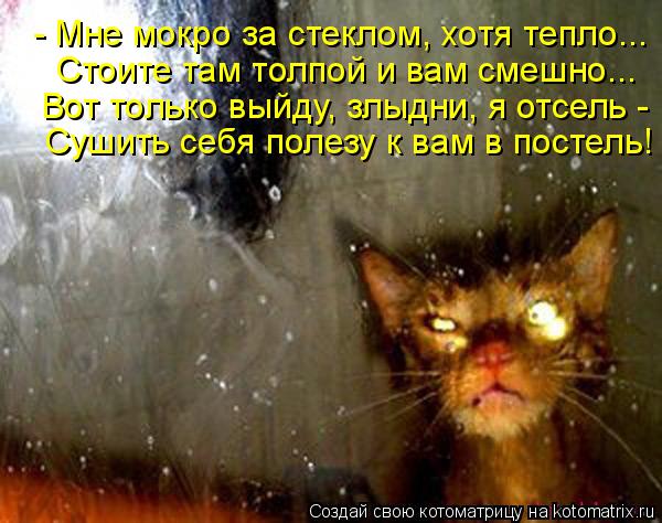 - Мне мокро за стеклом, хотя тепло... Стоите там толпой и вам смешно... Вот только выйду, злыдни, я о... Котоматрица: - Мне мокро за стеклом, хотя тепло... Стоите там толпой и вам смешно... Вот только выйду, злыдни, я отсель - Сушить себя полезу к вам в постель!
