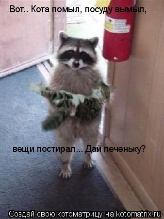 Вот.. Кота помыл, посуду вымыл, вещи постирал... Дай печеньку?... Котоматрица: Вот.. Кота помыл, посуду вымыл, вещи постирал... Дай печеньку?