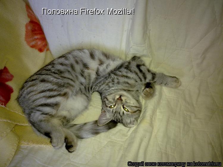 Половина Firefox Mozillы!... Котоматрица: Половина Firefox Mozillы!