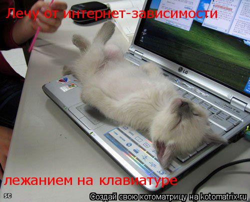Лечу от интернет-зависимости лежанием на клавиатуре... Котоматрица: Лечу от интернет-зависимости лежанием на клавиатуре