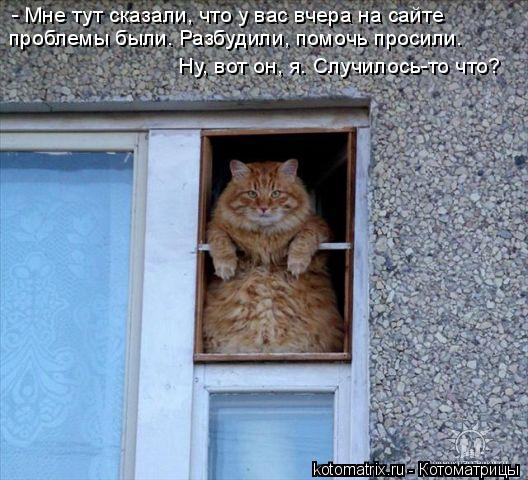 - Мне тут сказали, что у вас вчера на сайте проблемы были. Разбудили, помочь просили. Ну, вот он, я... Котоматрица: - Мне тут сказали, что у вас вчера на сайте проблемы были. Разбудили, помочь просили. Ну, вот он, я. Случилось-то что?