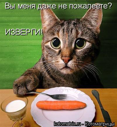 Вы меня даже не пожалеете? ИЗВЕРГИ!... Котоматрица: Вы меня даже не пожалеете? ИЗВЕРГИ!