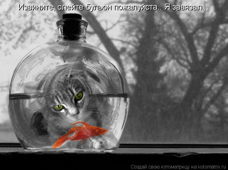 Извините, слейте бульон пожалуйста.. Я завязал...... Котоматрица: Извините, слейте бульон пожалуйста.. Я завязал...