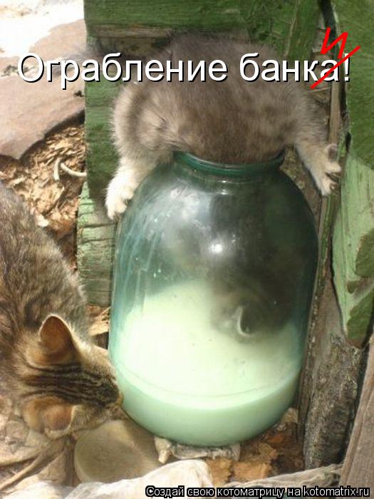 Ограбление банка! ___ И... Котоматрица: Ограбление банка! ___ И