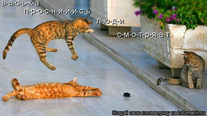 в-а-с-ь-к-а п-р-о-с-н-и-и-и-с-ь л-ю-д-и с-м-о-т-р-я-а-т... Котоматрица: в-а-с-ь-к-а п-р-о-с-н-и-и-и-с-ь л-ю-д-и с-м-о-т-р-я-а-т