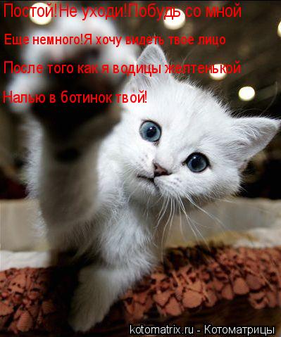 Постой!Не уходи!Побудь со мной Еще немного!Я хочу видеть твое лицо После того как я водицы желтенькой... Котоматрица: Постой!Не уходи!Побудь со мной Еще немного!Я хочу видеть твое лицо После того как я водицы желтенькой Налью в ботинок твой!
