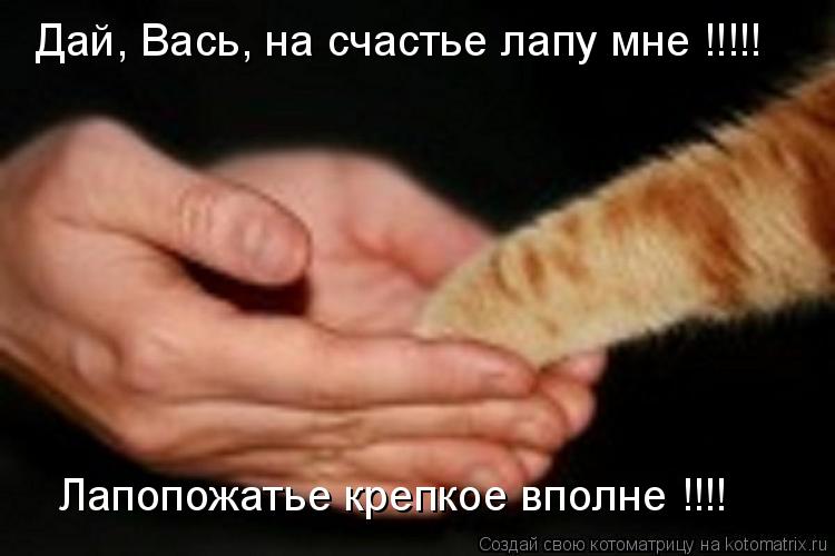Дай, Вась, на счастье лапу мне !!!!! Лапопожатье крепкое вполне !!!!... Котоматрица: Дай, Вась, на счастье лапу мне !!!!! Лапопожатье крепкое вполне !!!!