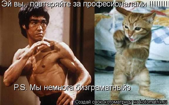 Эй вы , повтаряйте за професионалами !!!!!!!!!!! P.S. Мы немнога бизграматныйэ... Котоматрица: Эй вы , повтаряйте за професионалами !!!!!!!!!!! P.S. Мы немнога бизграматныйэ