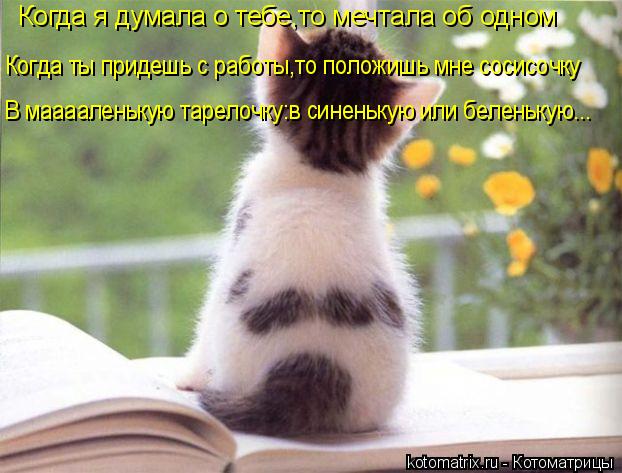 Когда я думала о тебе,то мечтала об одном Когда ты придешь с работы,то положишь мне сосисочку В мааа... Котоматрица: Когда я думала о тебе,то мечтала об одном Когда ты придешь с работы,то положишь мне сосисочку В мааааленькую тарелочку:в синенькую или беле