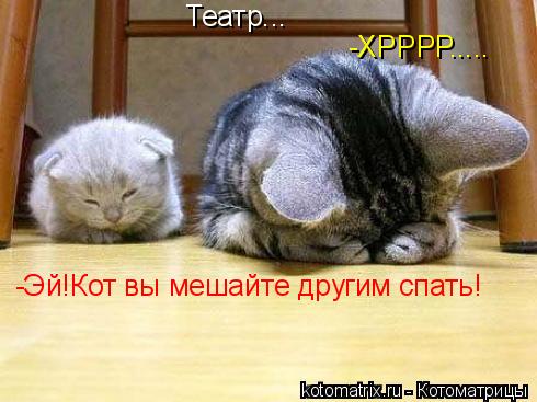 Театр... -ХРРРР..... -Эй!Кот вы мешайте другим спать!... Котоматрица: Театр... -ХРРРР..... -Эй!Кот вы мешайте другим спать!