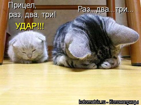Раз...два...три... Прицел, раз, два, три! УДАР!!!... Котоматрица: Раз...два...три... Прицел, раз, два, три! УДАР!!!