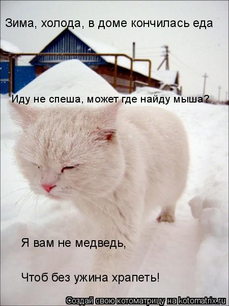 Чтоб без ужина храпеть! Зима, холода, в доме кончилась еда Я вам не медведь, Иду не спеша, может где... Котоматрица: Чтоб без ужина храпеть! Зима, холода, в доме кончилась еда Я вам не медведь, Иду не спеша, может где найду мыша?