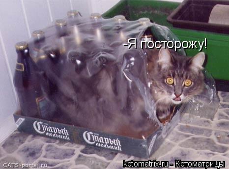 -Я посторожу!... Котоматрица: -Я посторожу!