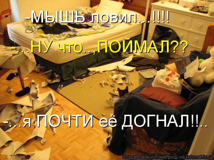 -...НУ что..,ПОЙМАЛ?? -...я ПОЧТИ её ДОГНАЛ!!.. -МЫШЬ ловил...!!!!... Котоматрица: -...НУ что..,ПОЙМАЛ?? -...я ПОЧТИ её ДОГНАЛ!!.. -МЫШЬ ловил...!!!!
