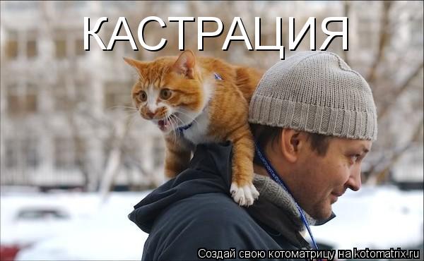 КАСТРАЦИЯ... Котоматрица: КАСТРАЦИЯ