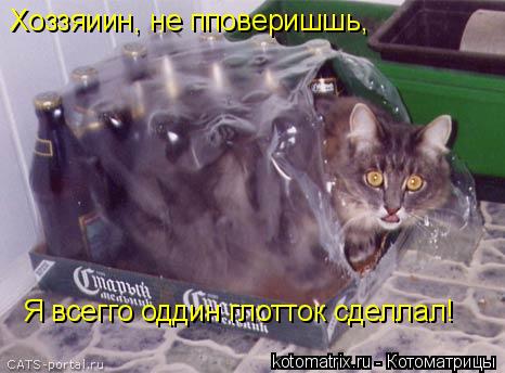 Хоззяиин, не пповеришшь, Я всегго оддин глотток сделлал!... Котоматрица: Хоззяиин, не пповеришшь, Я всегго оддин глотток сделлал!