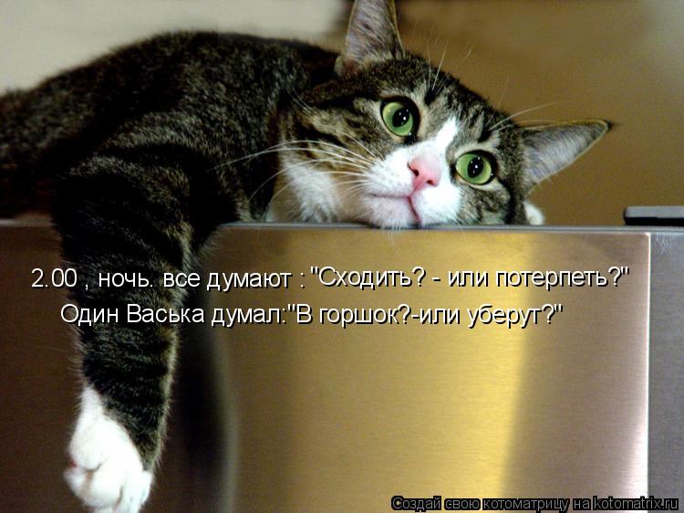 2.00 , ночь. все думают : "Сходить? - или потерпеть?" Один Васька думал:"В горшок?-или уберут?"... Котоматрица: 2.00 , ночь. все думают : "Сходить? - или потерпеть?" Один Васька думал:"В горшок?-или уберут?"