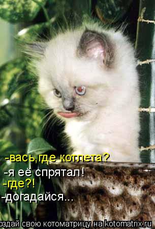 -вась,где котлета? -я её спрятал! -где?! -догадайся...... Котоматрица: -вась,где котлета? -я её спрятал! -где?! -догадайся...