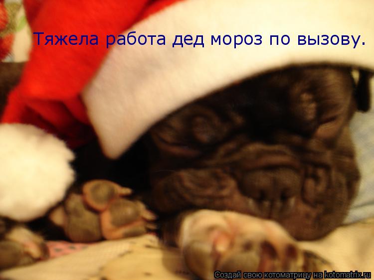 Тяжела работа дед мороз по вызову.... Котоматрица: Тяжела работа дед мороз по вызову.
