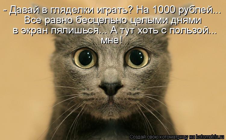 - Давай в гляделки играть? На 1000 рублей... Все равно бесцельно целыми днями в экран пялишься... А т... Котоматрица: - Давай в гляделки играть? На 1000 рублей... Все равно бесцельно целыми днями в экран пялишься... А тут хоть с пользой... мне!
