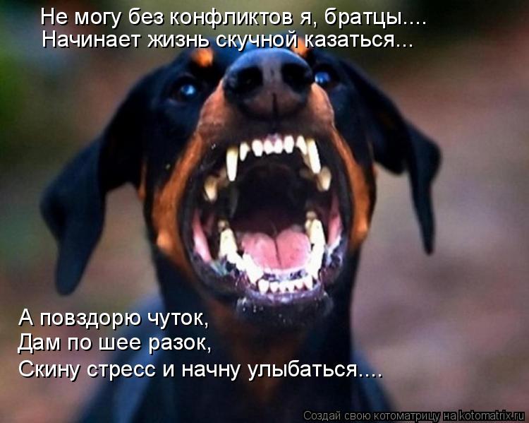 Не могу без конфликтов я, братцы.... Начинает жизнь скучной казаться... А повздорю чуток, Дам по шее ... Котоматрица: Не могу без конфликтов я, братцы.... Начинает жизнь скучной казаться... А повздорю чуток, Дам по шее разок, Скину стресс и начну улыбаться....