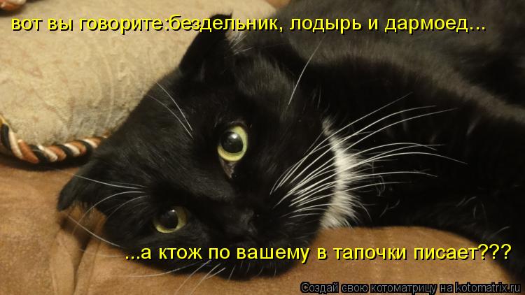вот вы говорите:бездельник, лодырь и дармоед... ...а ктож по вашему в тапочки писает???... Котоматрица: вот вы говорите:бездельник, лодырь и дармоед... ...а ктож по вашему в тапочки писает???