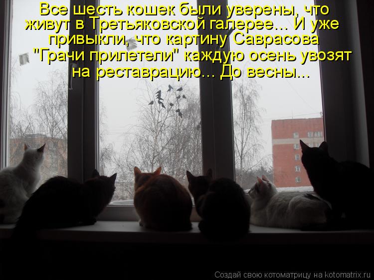 Все шесть кошек были уверены, что живут в Третьяковской галерее... И уже привыкли, что картину Саврас... Котоматрица: Все шесть кошек были уверены, что живут в Третьяковской галерее... И уже привыкли, что картину Саврасова "Грачи прилетели" каждую осень увозя