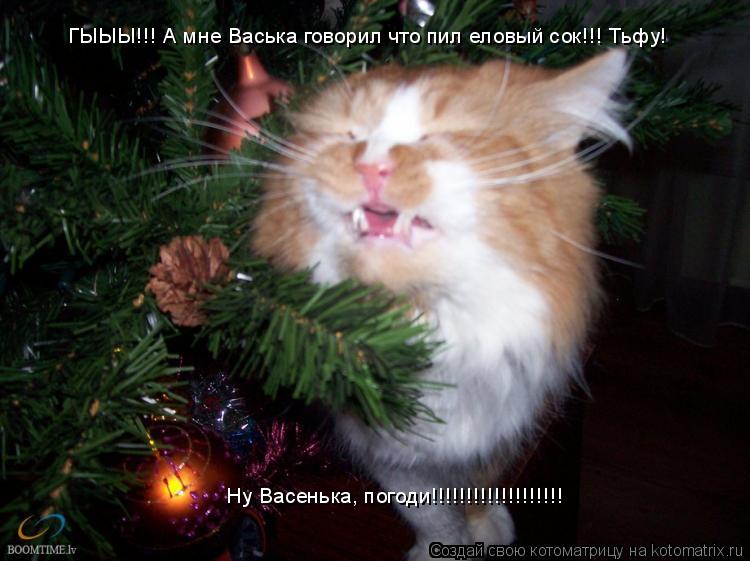 ГЫЫЫ!!! А мне Васька говорил что пил еловый сок!!! Тьфу! Ну Васенька, погоди!!!!!!!!!!!!!!!!!!!... Котоматрица: ГЫЫЫ!!! А мне Васька говорил что пил еловый сок!!! Тьфу! Ну Васенька, погоди!!!!!!!!!!!!!!!!!!!