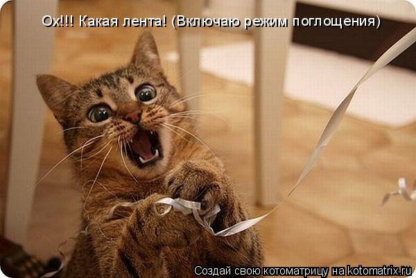 Ох!!! Какая лента! (Включаю режим поглощения)... Котоматрица: Ох!!! Какая лента! (Включаю режим поглощения)