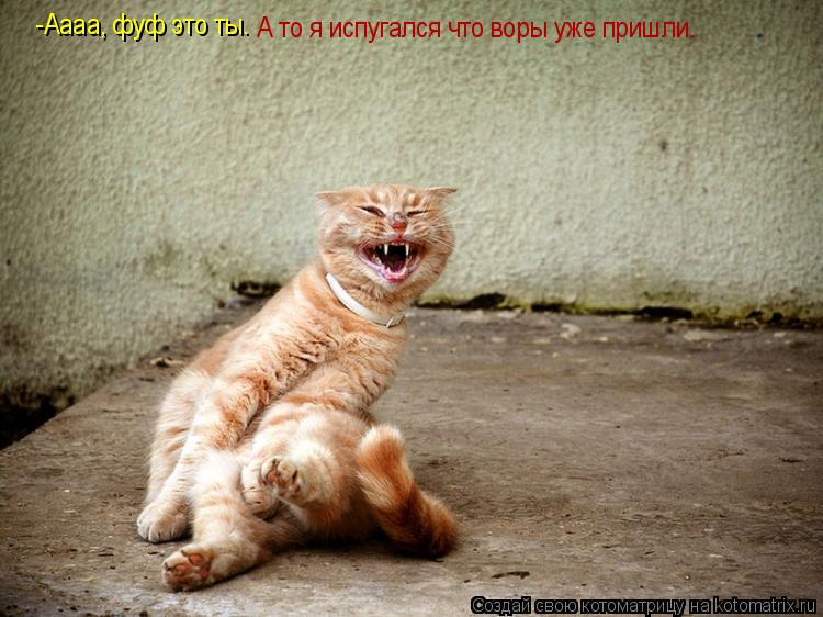 -Аааа, фуф это ты. А то я испугался что воры уже пришли.... Котоматрица: -Аааа, фуф это ты. А то я испугался что воры уже пришли.