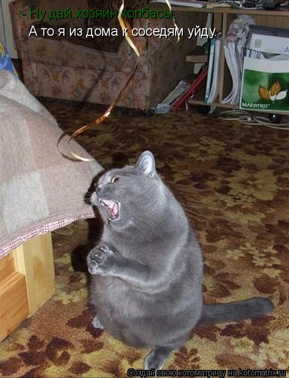 - Ну дай хозяин колбасы. . А то я из дома к соседям уйду.... Котоматрица: - Ну дай хозяин колбасы. . А то я из дома к соседям уйду.