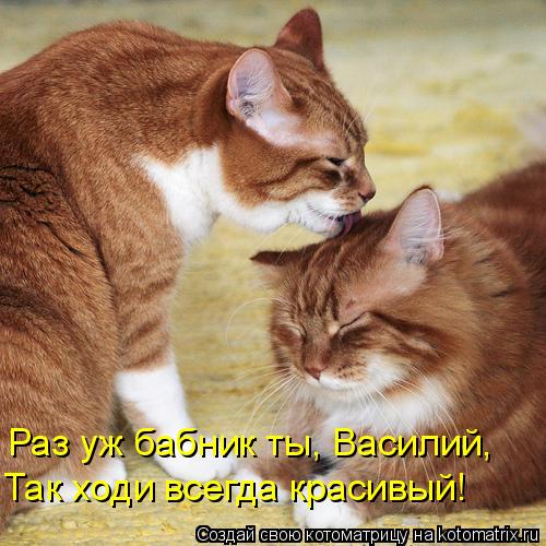 Котоматрица: Раз уж бабник ты, Василий, Так ходи всегда красивый!