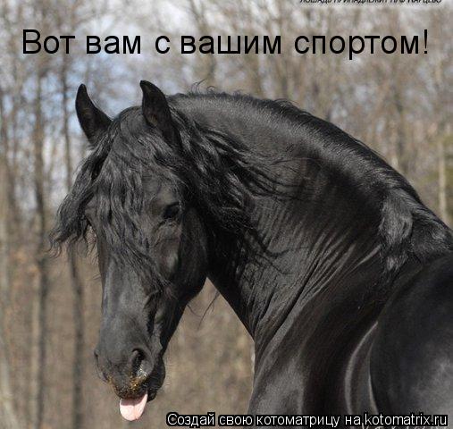 Вот вам с вашим спортом!... Котоматрица: Вот вам с вашим спортом!