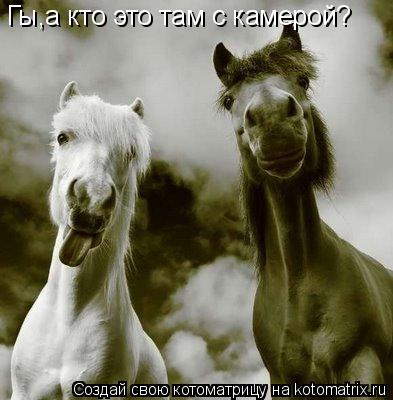 Гы,а кто это там с камерой?... Котоматрица: Гы,а кто это там с камерой?