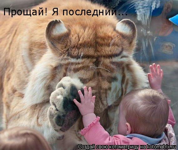 Прощай! Я последний...... Котоматрица: Прощай! Я последний...
