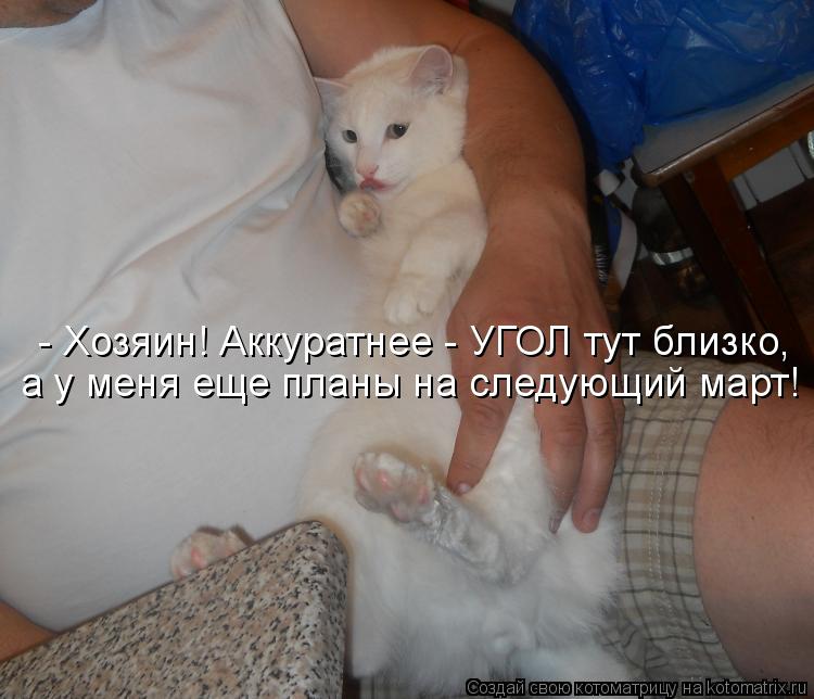 - Хозяин! Аккуратнее - УГОЛ тут близко, а у меня еще планы на следующий март!... Котоматрица: - Хозяин! Аккуратнее - УГОЛ тут близко, а у меня еще планы на следующий март!