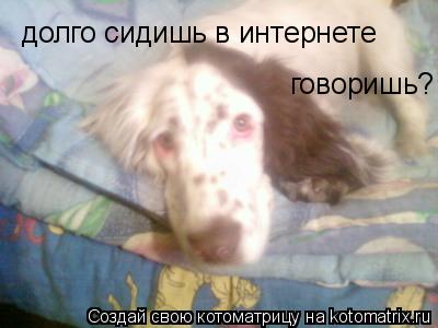 Котоматрица: долго сидишь в инте, говоришь? долго сидишь в интернете говоришь?