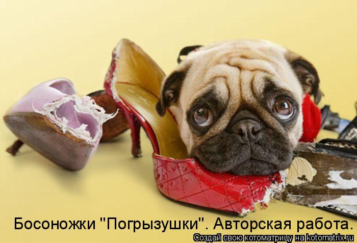 Босоножки "Погрызушки". Авторская работа.... Котоматрица: Босоножки "Погрызушки". Авторская работа.