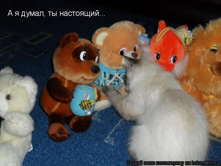 А я думал, ты настоящий...... Котоматрица: А я думал, ты настоящий...