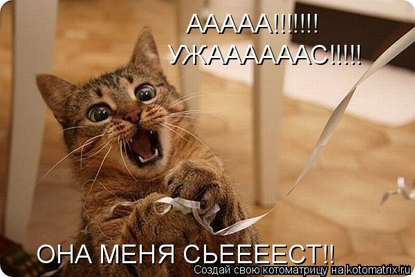 Котоматрица: ААААА!!!!!!! УЖААААААС!!!!! ОНА МЕНЯ СЬЕЕЕЕСТ!!