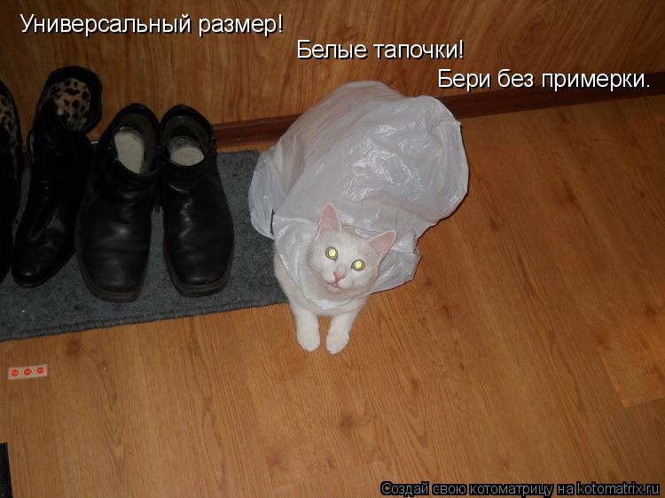 Универсальный размер! Белые тапочки! Бери без примерки.... Котоматрица: Универсальный размер! Белые тапочки! Бери без примерки.