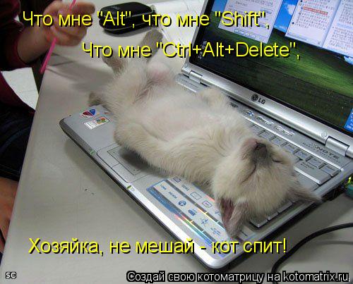 Котоматрица: Что мне "Ctrl+Alt+Delete", Хозяйка, не мешай - кот спит! Что мне "Alt", что мне "Shift",
