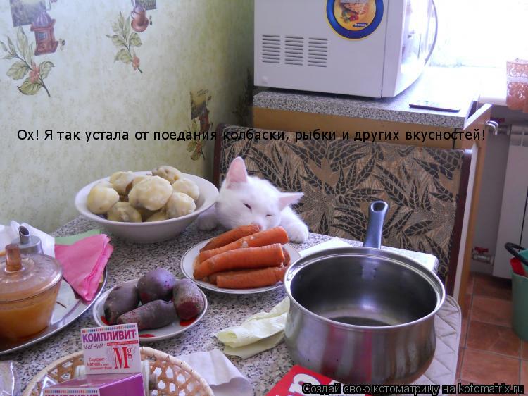 Ох! Я так устала от поедания колбаски, рыбки и других вкусностей!... Котоматрица: Ох! Я так устала от поедания колбаски, рыбки и других вкусностей!