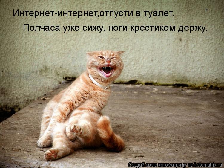 Интернет-интернет,отпусти в туалет… Полчаса уже сижу… ноги крестиком держу.... Котоматрица: Интернет-интернет,отпусти в туалет… Полчаса уже сижу… ноги крестиком держу.
