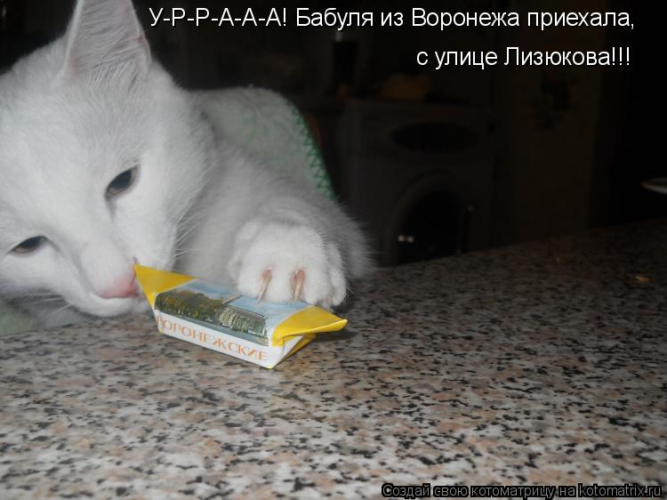 У-Р-Р-А-А-А! Бабуля из Воронежа приехала, с улице Лизюкова!!!... Котоматрица: У-Р-Р-А-А-А! Бабуля из Воронежа приехала, с улице Лизюкова!!!